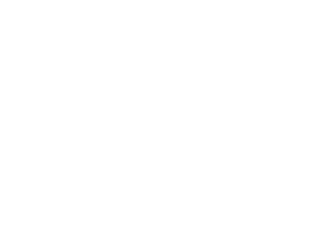 L1D